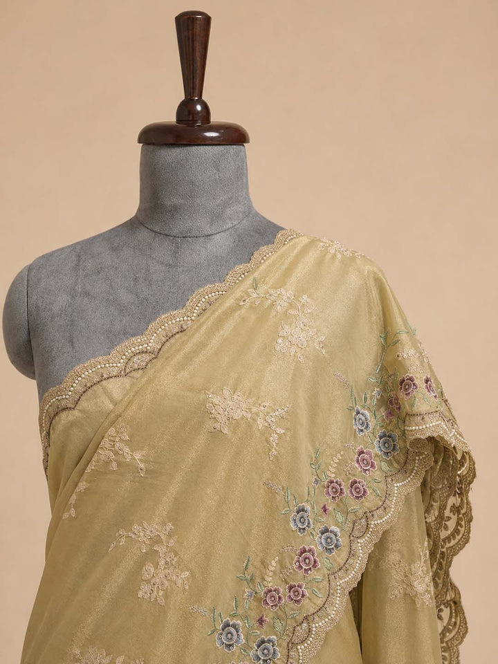 Pastel Green Organza Tissue Saree