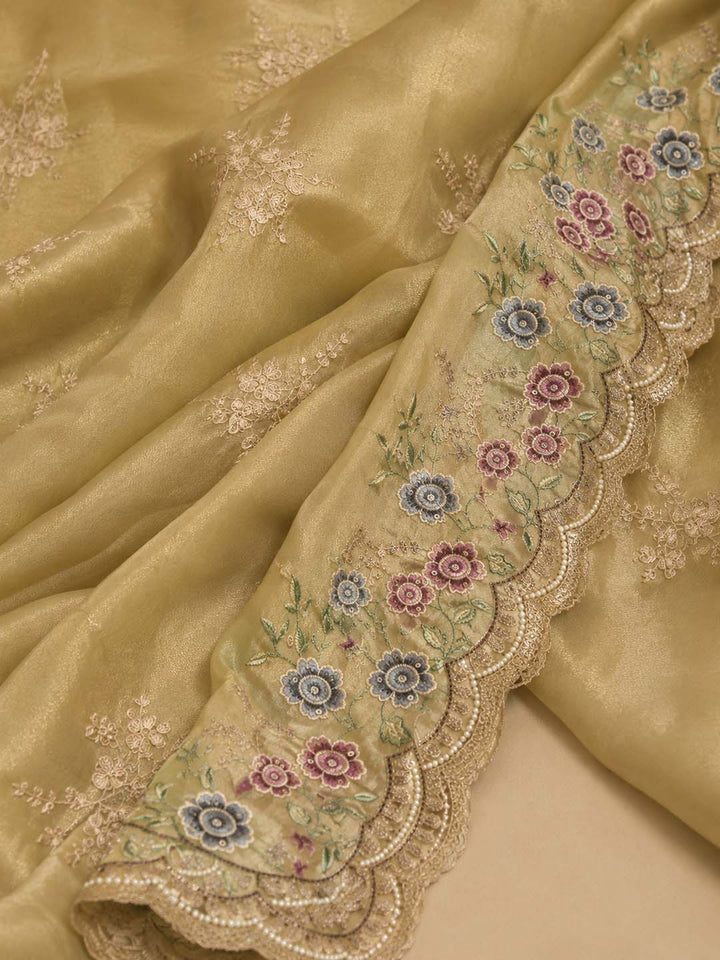Pastel Green Organza Tissue Saree